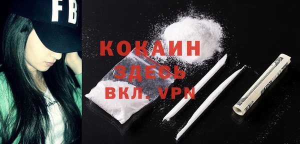 spice Кодинск