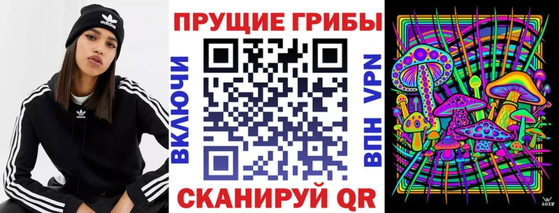 MEGA ССЫЛКА  купить наркотик  Называевск  Псилоцибиновые грибы MAGIC MUSHROOMS 